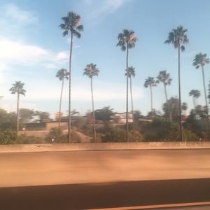 Meet your Posher, Haven